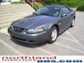 2004 Dark Shadow Grey Metallic Ford Mustang V6 Convertible  photo #7