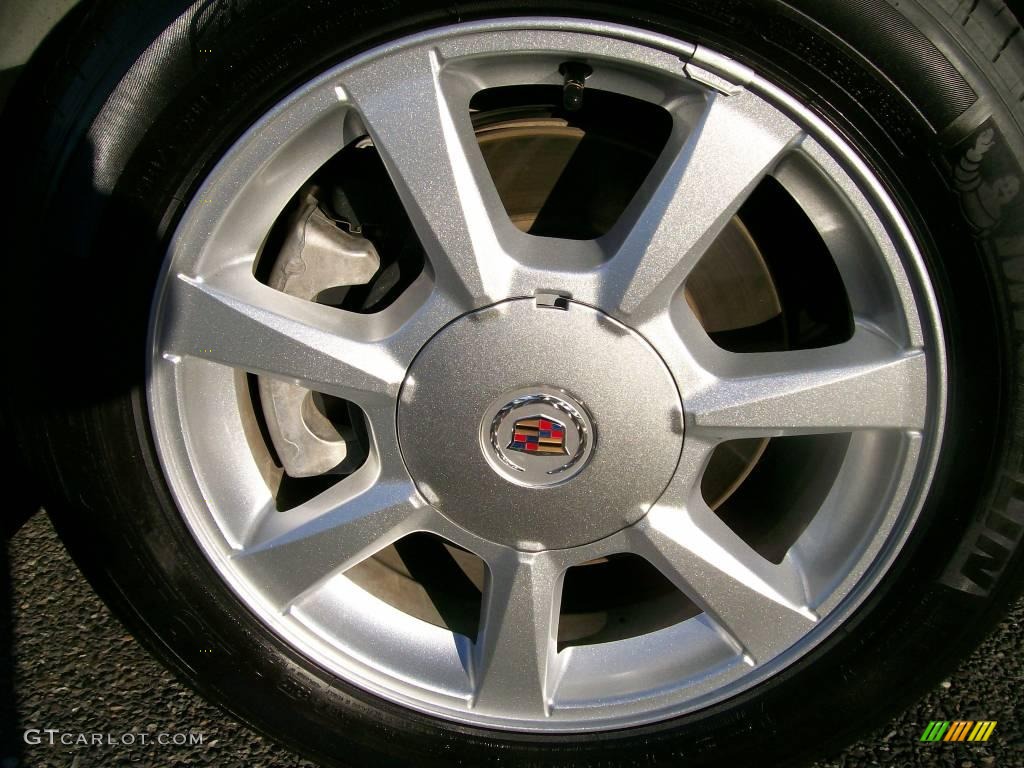 2008 CTS Sedan - Gold Mist / Cashmere/Cocoa photo #10
