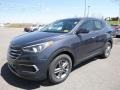 2017 Marlin Blue Hyundai Santa Fe Sport AWD  photo #11