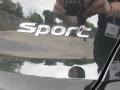 Platinum Graphite - Santa Fe Sport  Photo No. 16