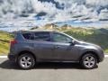 Magnetic Gray Metallic - RAV4 XLE Photo No. 1
