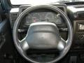 Gunmetal Pearlcoat - Wrangler SE 4x4 Photo No. 18