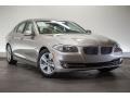 Cashmere Silver Metallic 2013 BMW 5 Series 528i Sedan Exterior