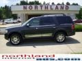 Alloy Metallic 2007 Lincoln Navigator Luxury 4x4