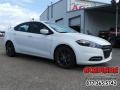 Bright White - Dart SE Photo No. 4