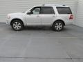 Ingot Silver Metallic - Expedition Platinum Photo No. 6