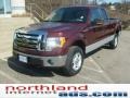 2009 Royal Red Metallic Ford F150 XLT SuperCab 4x4  photo #7