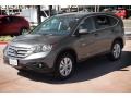 Polished Metal Metallic - CR-V EX Photo No. 8