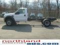 Oxford White - F550 Super Duty XL Regular Cab Chassis 4x4 Photo No. 2