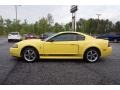 2003 Zinc Yellow Ford Mustang Mach 1 Coupe  photo #4