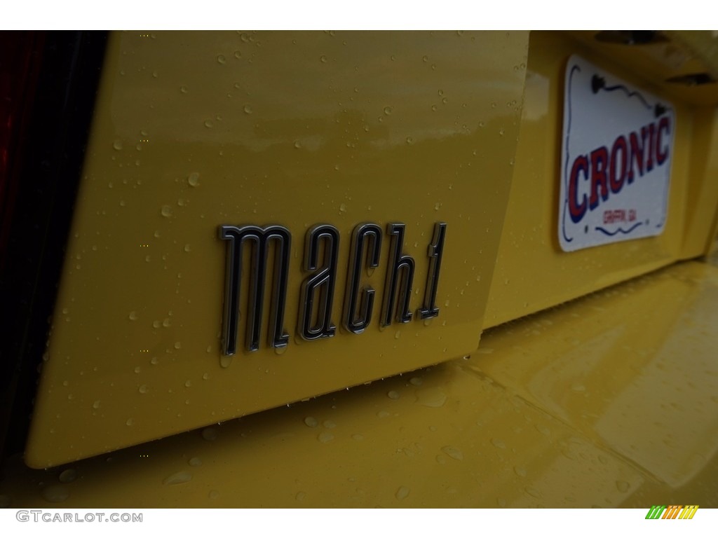 2003 Mustang Mach 1 Coupe - Zinc Yellow / Dark Charcoal photo #13