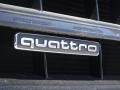 Monsoon Gray Metallic - Q3 2.0 TSFI Premium Plus quattro Photo No. 6
