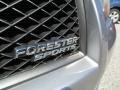 Steel Silver Metallic - Forester 2.5 X Sports Photo No. 13
