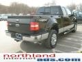 Black - F150 XLT SuperCab 4x4 Photo No. 4