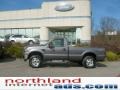 Sterling Grey Metallic 2009 Ford F250 Super Duty XLT Regular Cab 4x4
