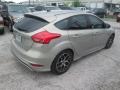 Ingot Silver Metallic - Focus SE Hatchback Photo No. 8