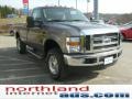 Sterling Grey Metallic - F250 Super Duty XLT Regular Cab 4x4 Photo No. 6