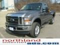 Sterling Grey Metallic - F250 Super Duty XLT Regular Cab 4x4 Photo No. 8