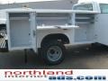 Oxford White - F350 Super Duty XL Regular Cab 4x4 Chassis Utility Photo No. 15