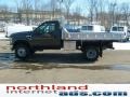 Dark Stone Metallic - F350 Super Duty XL Regular Cab 4x4 Chassis Photo No. 2