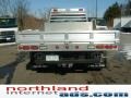 Dark Stone Metallic - F350 Super Duty XL Regular Cab 4x4 Chassis Photo No. 4