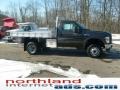 Dark Stone Metallic - F350 Super Duty XL Regular Cab 4x4 Chassis Photo No. 6