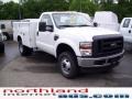 Oxford White - F350 Super Duty XL Regular Cab 4x4 Chassis Utility Photo No. 6
