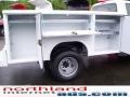 Oxford White - F350 Super Duty XL Regular Cab 4x4 Chassis Utility Photo No. 14