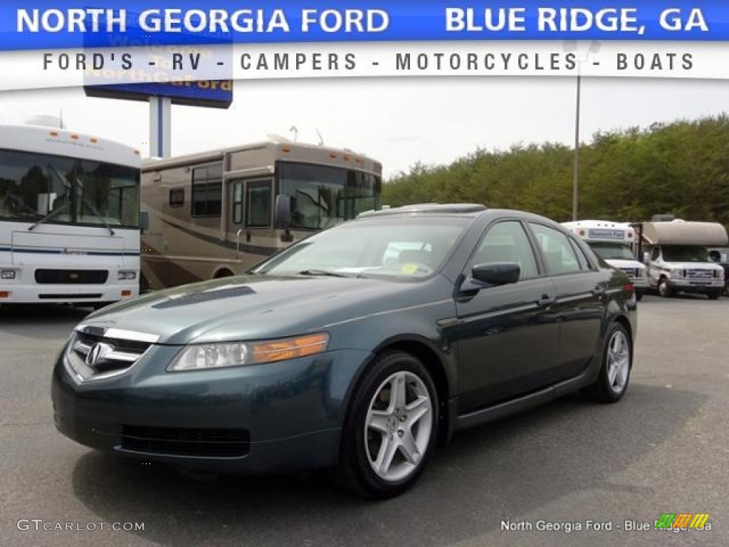 2004 TL 3.2 - Deep Green Pearl / Camel photo #1