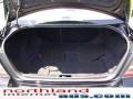 Black Clearcoat - Taurus SEL Photo No. 14