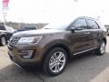2016 Caribou Metallic Ford Explorer Limited 4WD  photo #6