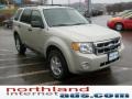 2008 Light Sage Metallic Ford Escape XLT V6 4WD  photo #5