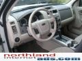 2008 Light Sage Metallic Ford Escape XLT V6 4WD  photo #10