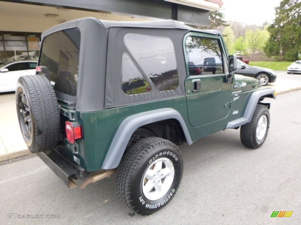 2001 Wrangler Sport 4x4 - Forest Green / Camel photo #2