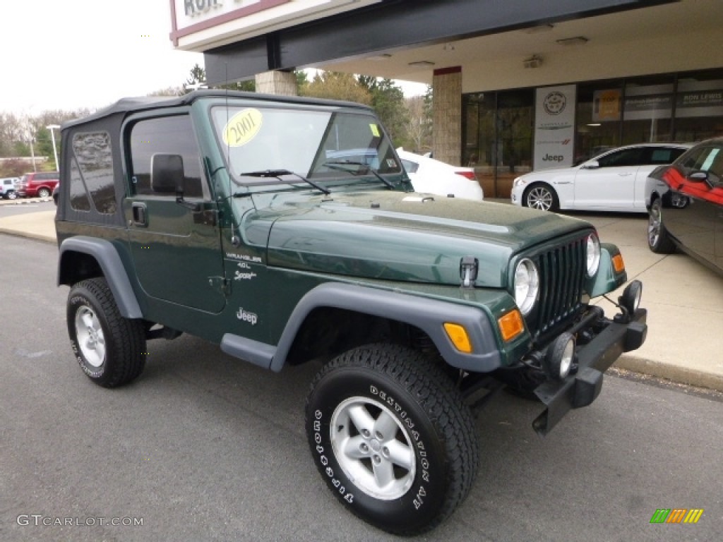 2001 Wrangler Sport 4x4 - Forest Green / Camel photo #6
