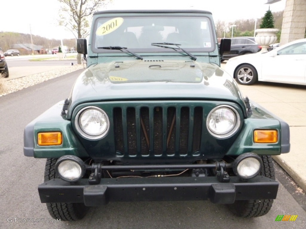 2001 Wrangler Sport 4x4 - Forest Green / Camel photo #7