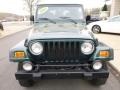 2001 Forest Green Jeep Wrangler Sport 4x4  photo #7