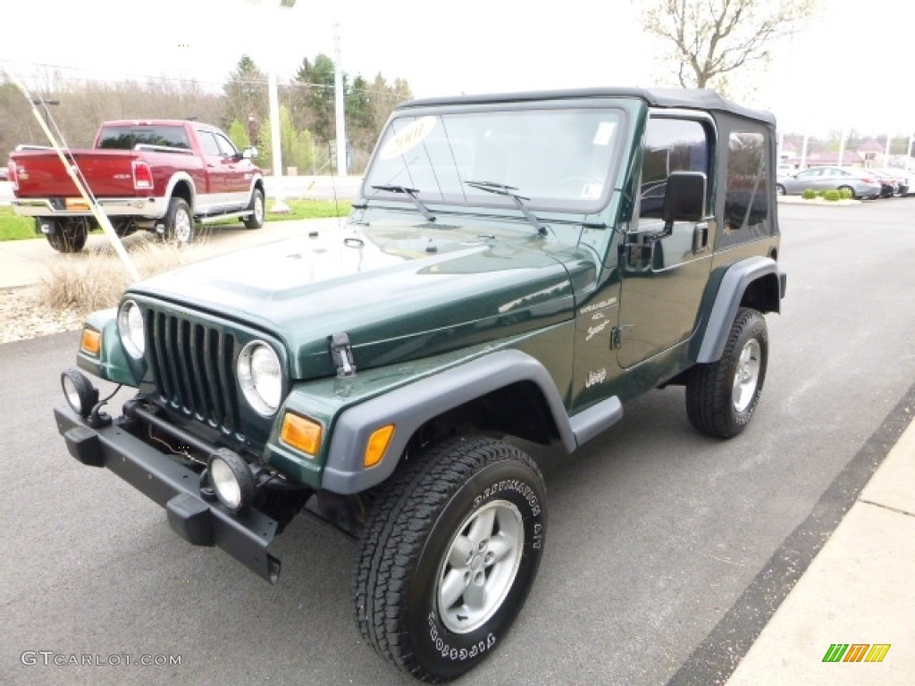 2001 Wrangler Sport 4x4 - Forest Green / Camel photo #8