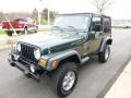 2001 Forest Green Jeep Wrangler Sport 4x4  photo #8