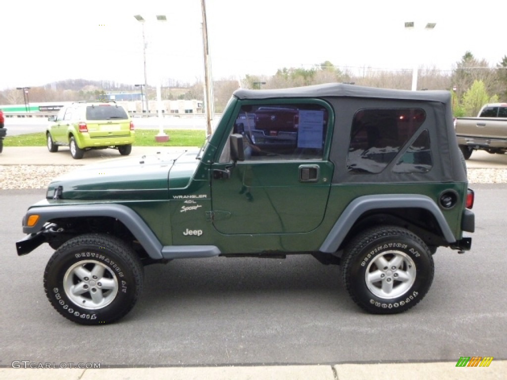 2001 Wrangler Sport 4x4 - Forest Green / Camel photo #9