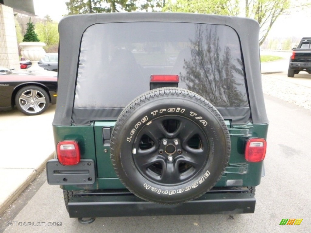 2001 Wrangler Sport 4x4 - Forest Green / Camel photo #11