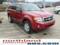 2008 Redfire Metallic Ford Escape XLT V6 4WD  photo #5