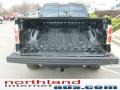 Black - F150 Lariat SuperCrew 4x4 Photo No. 15