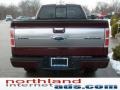 2009 Royal Red Metallic Ford F150 Platinum SuperCrew 4x4  photo #3