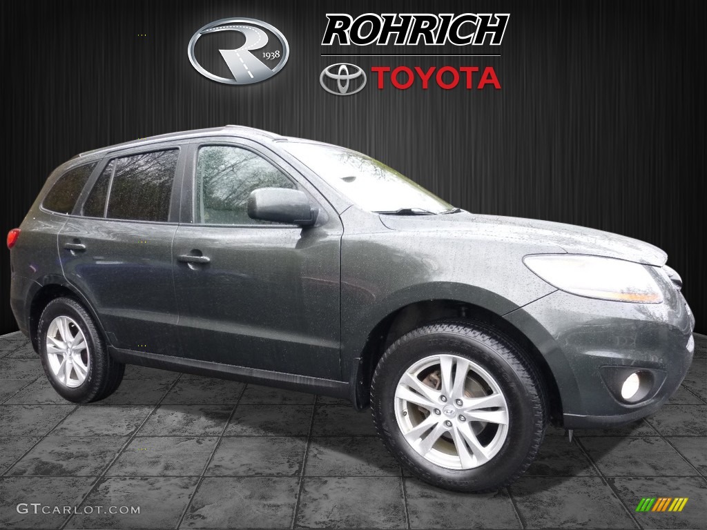 2010 Santa Fe SE 4WD - Black Forest Green Metallic / Gray photo #1