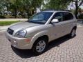 2006 Sahara Silver Hyundai Tucson Limited  photo #30