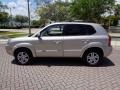 2006 Sahara Silver Hyundai Tucson Limited  photo #32