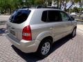 2006 Sahara Silver Hyundai Tucson Limited  photo #56