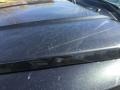 Brilliant Black Crystal Pearl - Dakota Big Horn Crew Cab 4x4 Photo No. 17