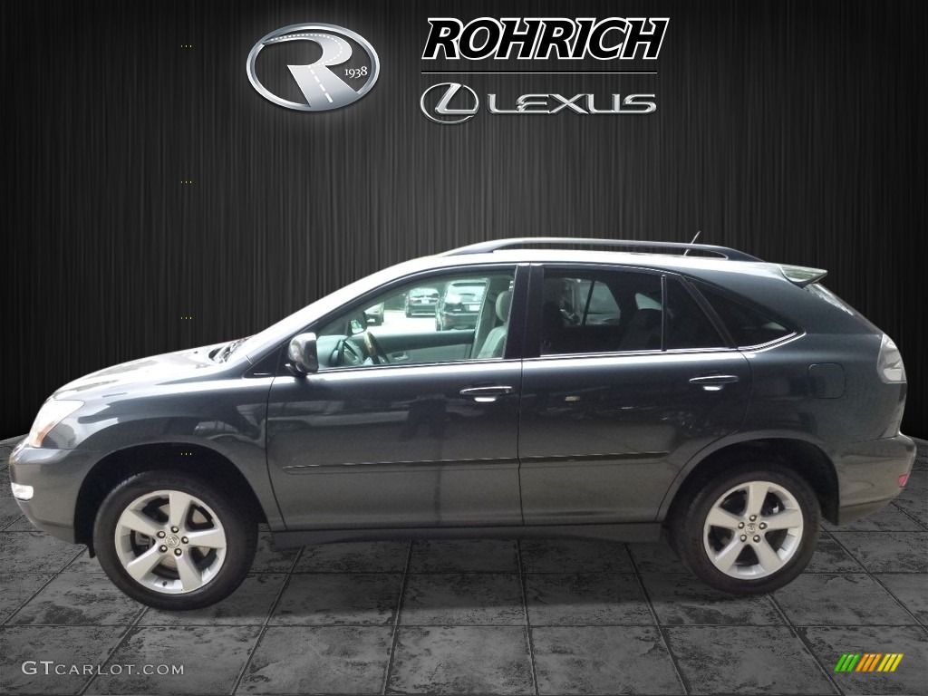 2007 RX 350 AWD - Flint Gray Mica / Light Gray photo #4